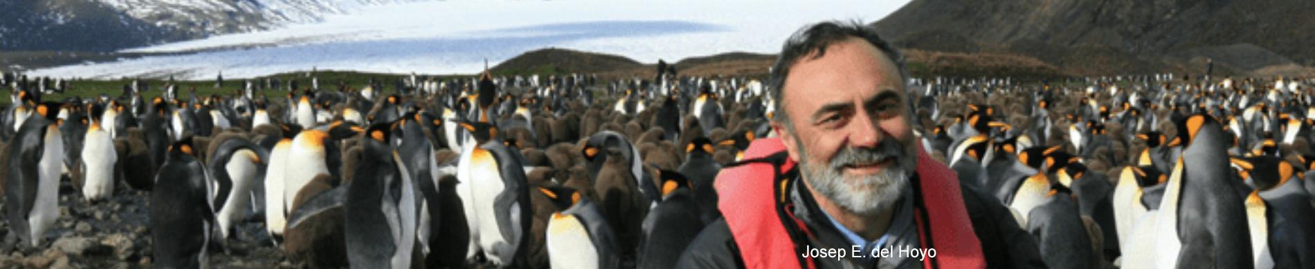 Koningspinguïns op Antarctica met Josep del Hoyo