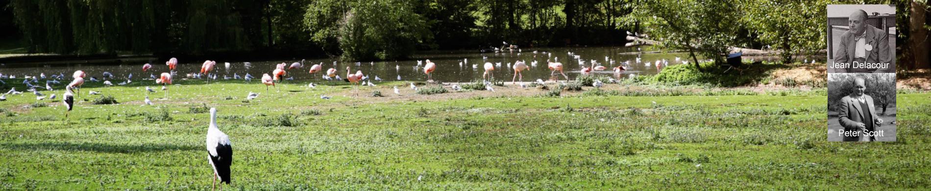 Parc de Clères opgericht door Jean Delacour